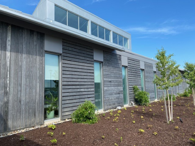 Accoya Gray Siding