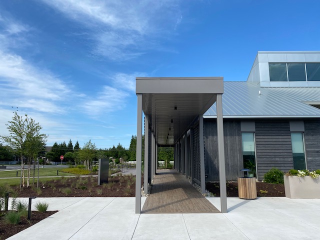 Accoya Gray Siding