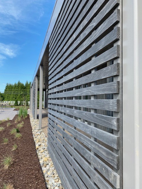 Accoya Gray Siding