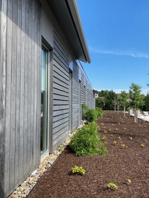 Accoya Gray Siding