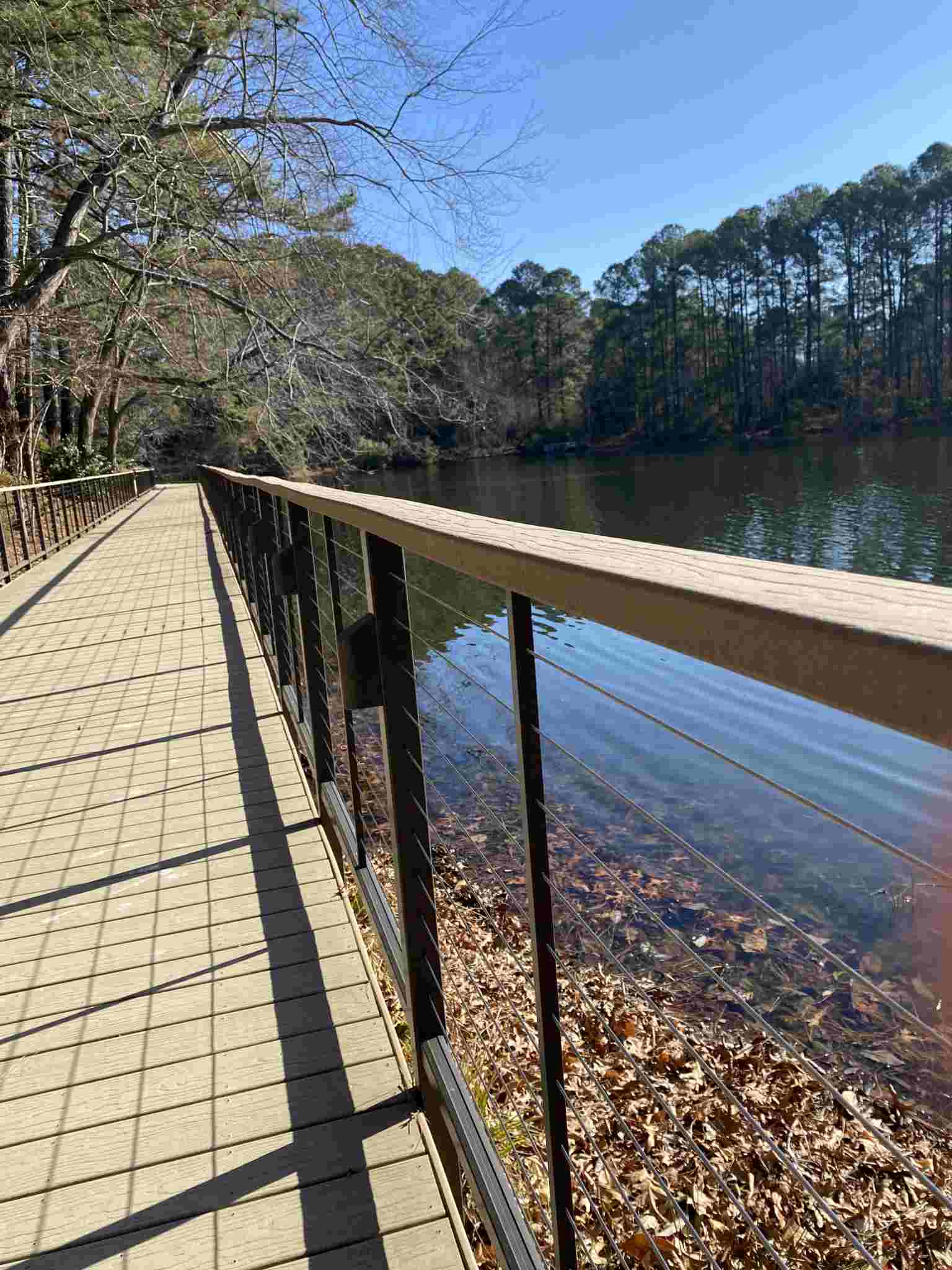 MoistureShield Decking Project