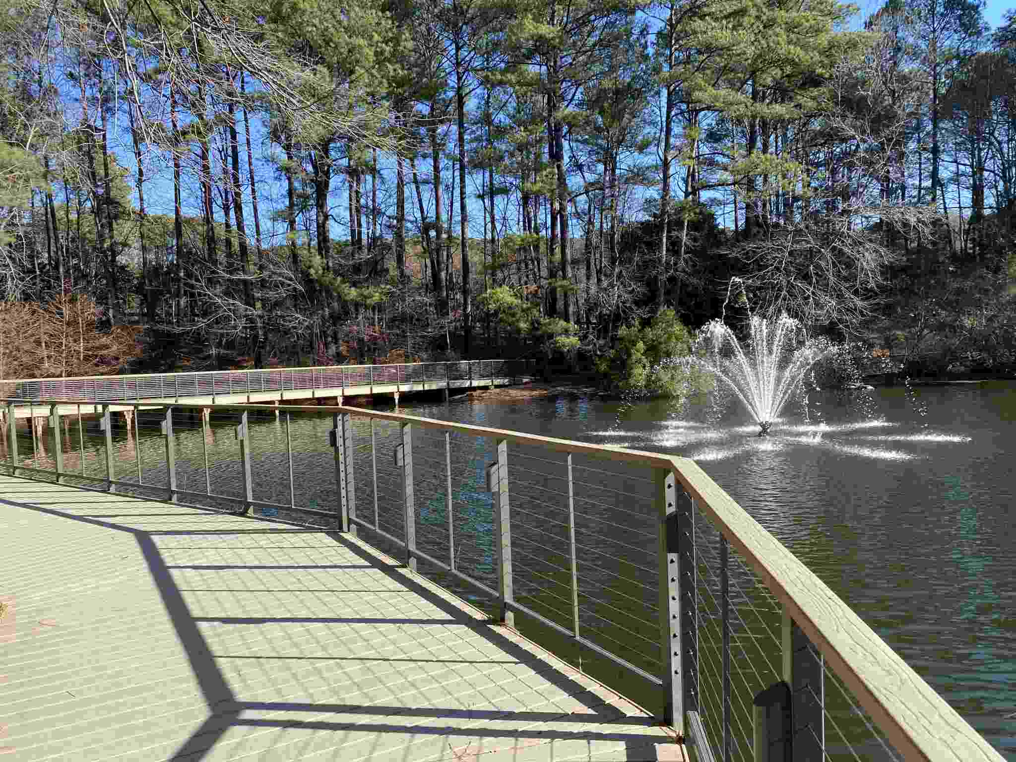MoistureShield Decking Project