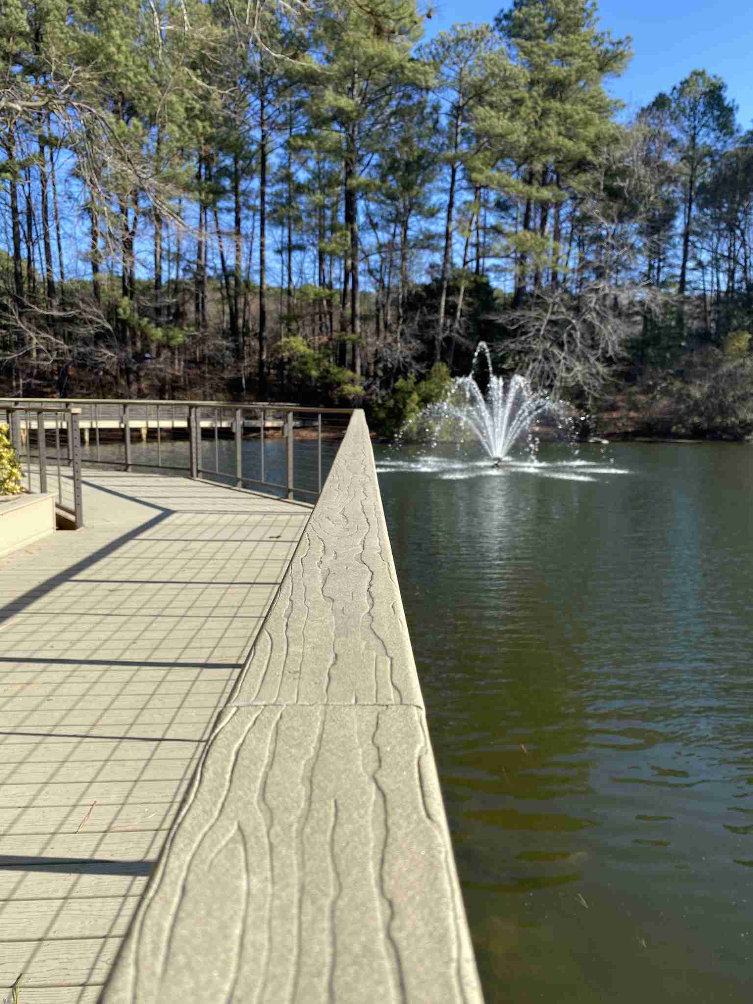 MoistureShield Decking Project
