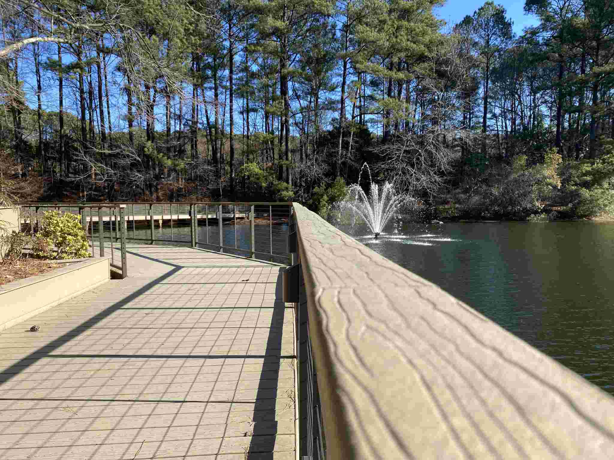 MoistureShield Decking Project
