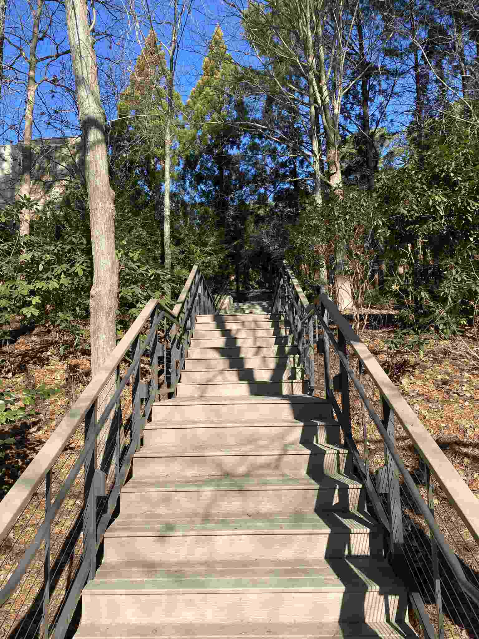 MoistureShield Decking Project