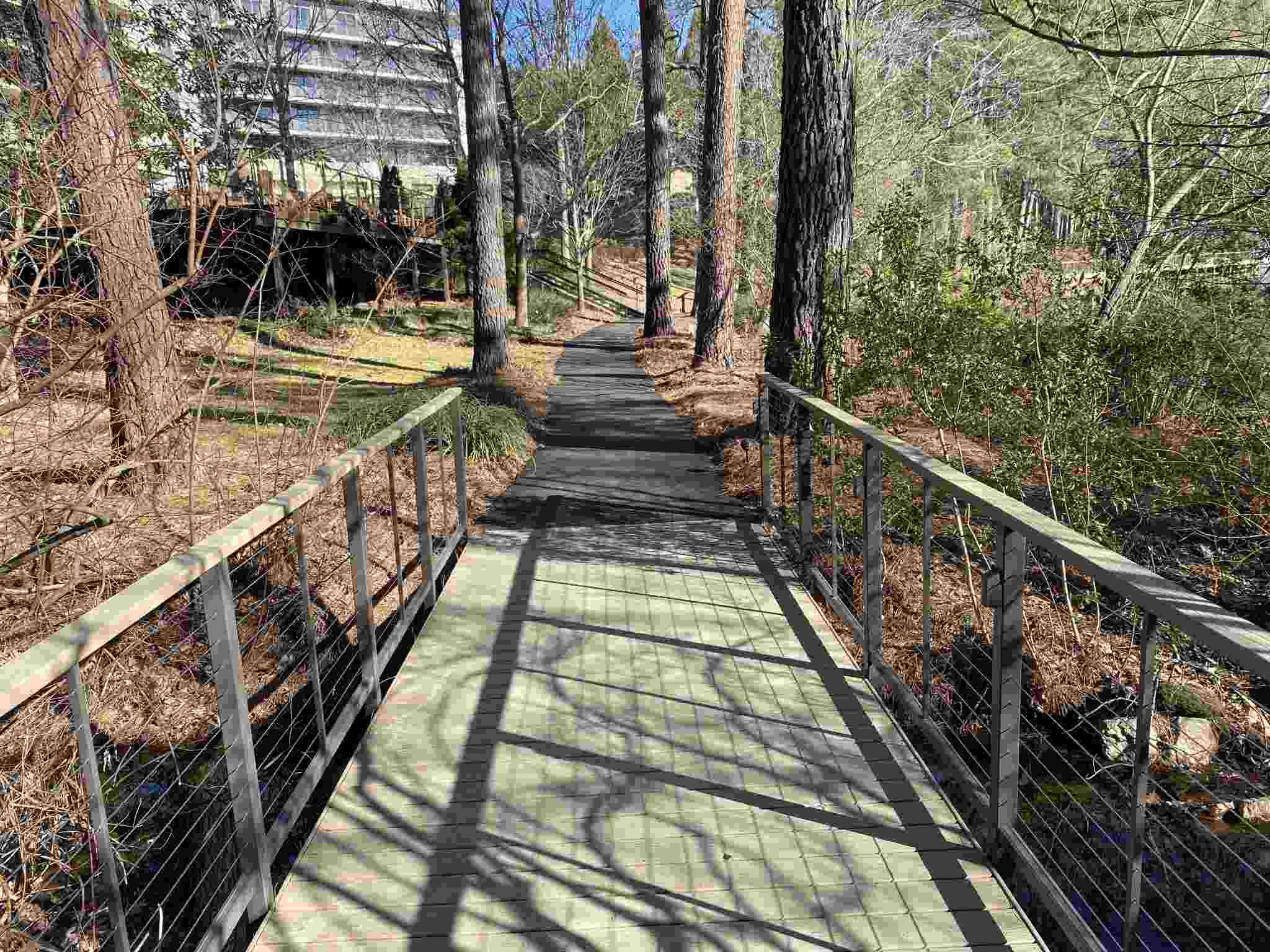 MoistureShield Decking Project