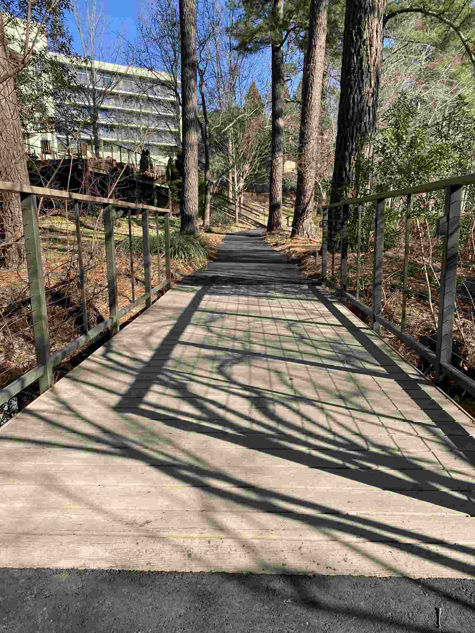MoistureShield Decking Project