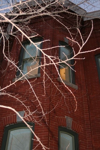 Red brick building with snow-covered branches in Millersville & Baltimore, MD